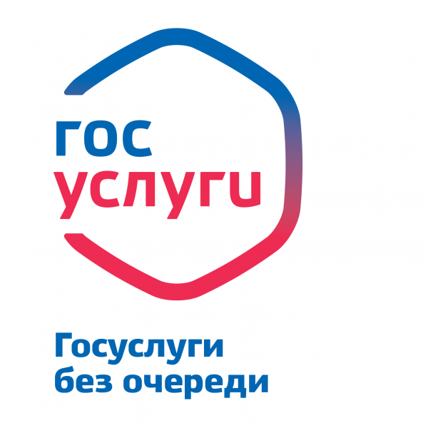 Информация о ЕПГУ 1на1.png