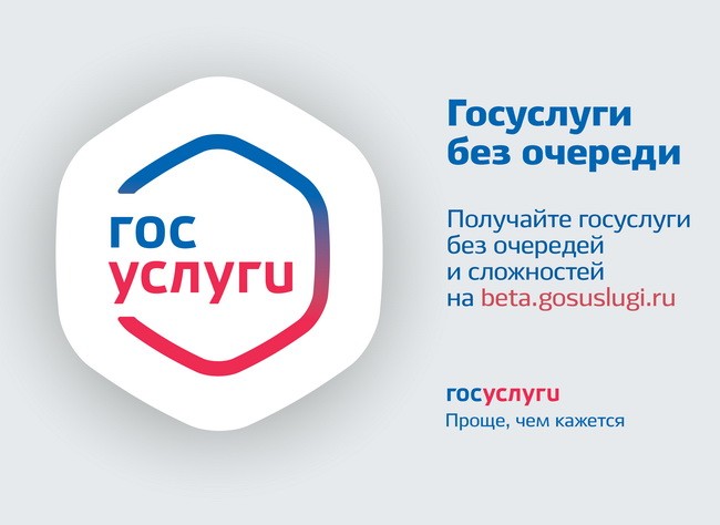 Госуслуги без очереди.jpg