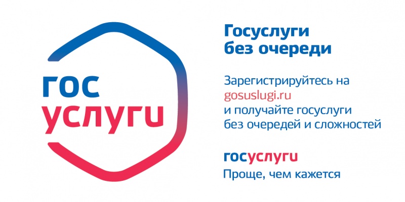 Информация о ЕПГУ.png